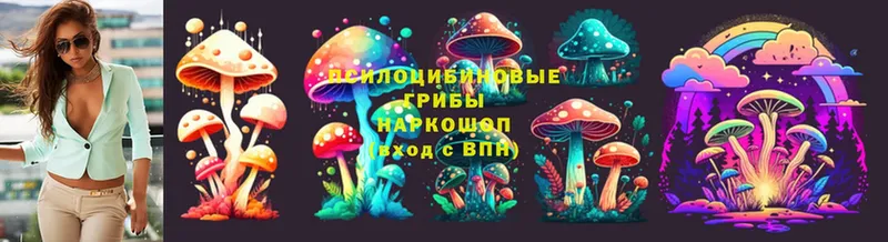 Псилоцибиновые грибы Cubensis  МЕГА ссылки  сайты даркнета как зайти  Игарка 